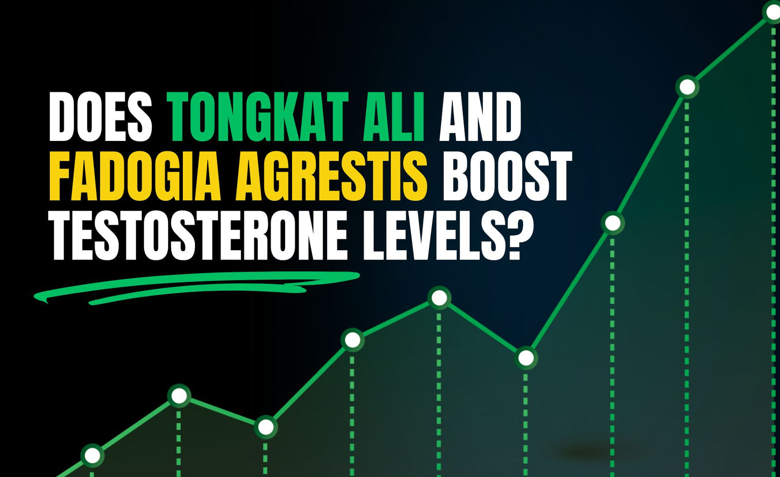 Tongkat Ali Fadogia testosterone with APH Science Man Stack