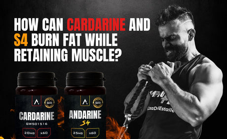 Cardarine S4 stack in APH Science Shred Stack for fat loss and muscle retention
