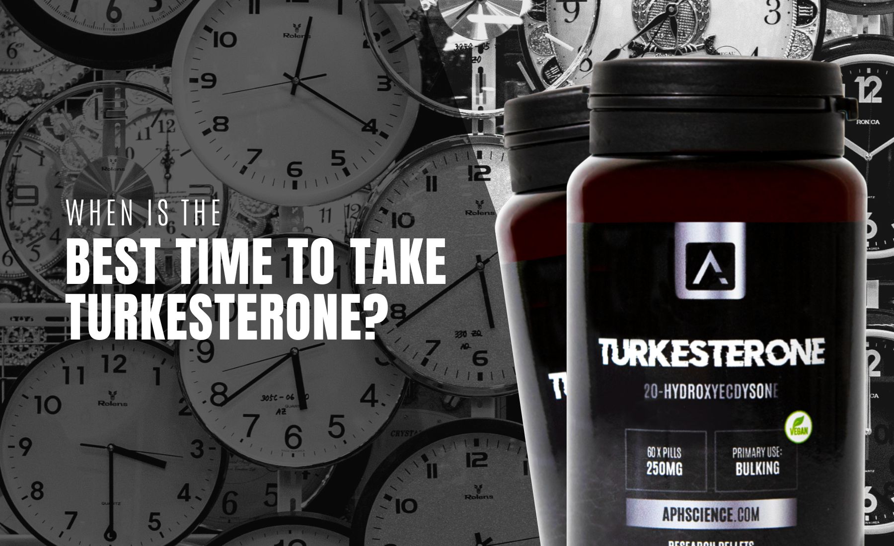 When is the Best Time to Take Turkesterone?
