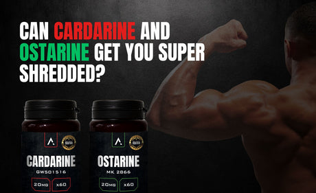 Cardarine Ostarine stack in APH Science Lean Muscle Stack for fat loss and muscle growth