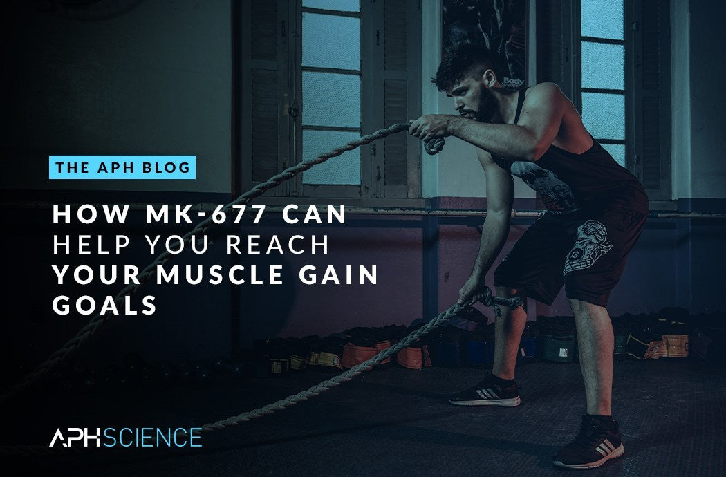 HOW MK-677 CAN HELP YOU REACH YOUR MUSCLE GAIN GOALS