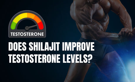 Shilajit for testosterone boost