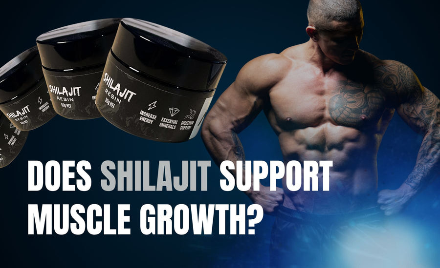 Does Shilajit support muscle growth? Dive into the science of how this mineral-rich resin may enhance muscle-building processes naturally.
