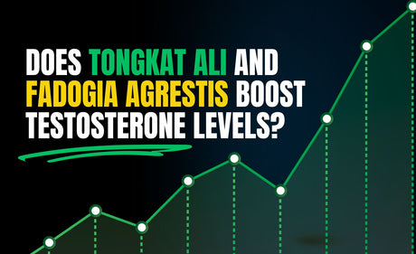 Tongkat Ali Fadogia testosterone with APH Science Man Stack