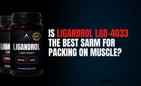 Ligandrol LGD-4033 muscle gains with APH Science Alpha Stack