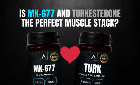 Stacking MK-677 Turkesterone with APH Science Growth Stack