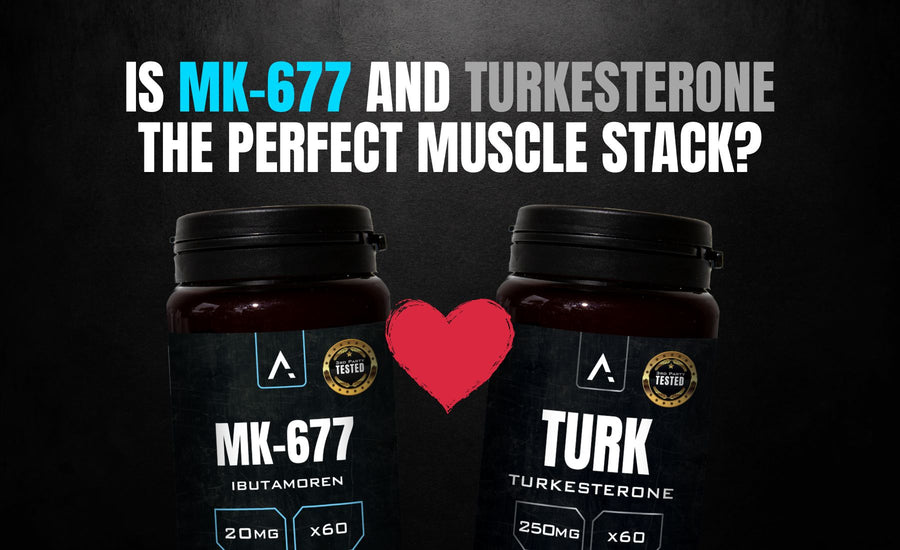 Stacking MK-677 Turkesterone with APH Science Growth Stack