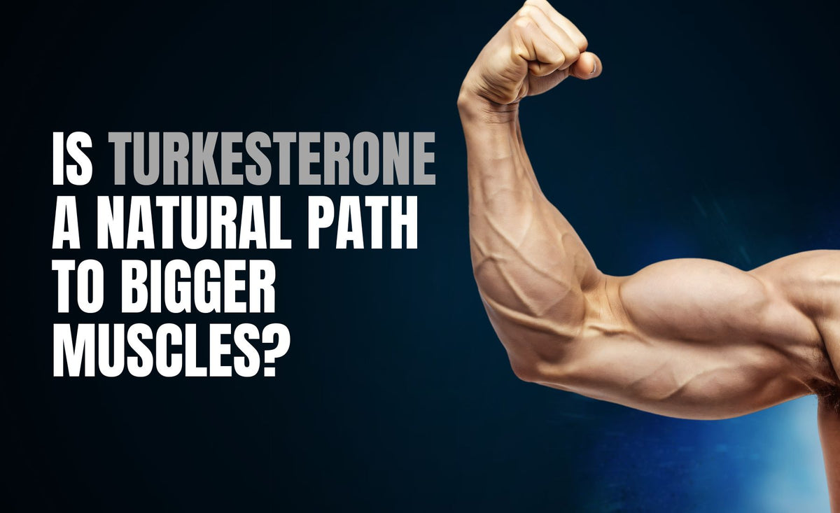 Is Turkesterone a Natural Path to Bigger Muscles?