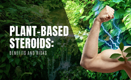 Plant-Based Steroids: Benefits and Risks