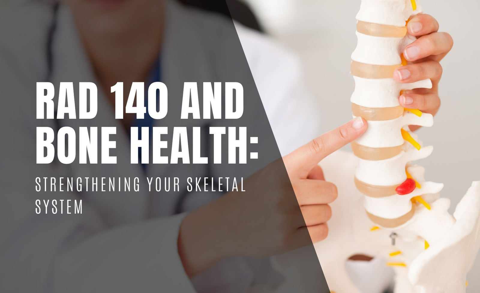 RAD 140 and Bone Health: Strengthening Your Skeletal System