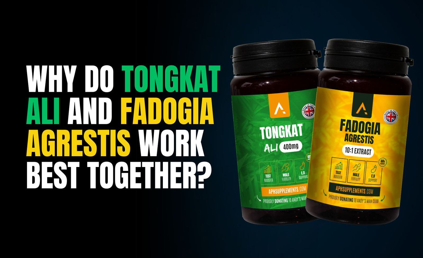 Why Do Tongkat Ali and Fadogia Agrestis Work Best Together?