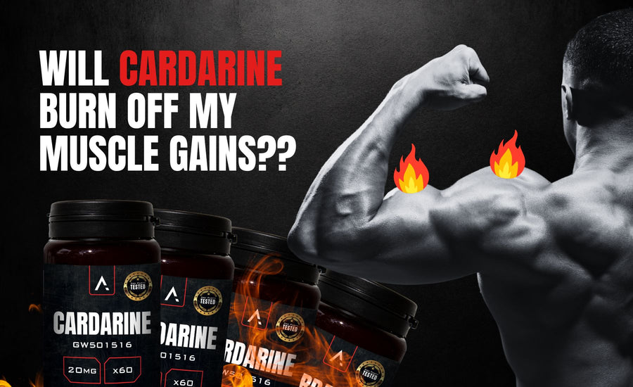 Will Cardarine burn off muscle gains
