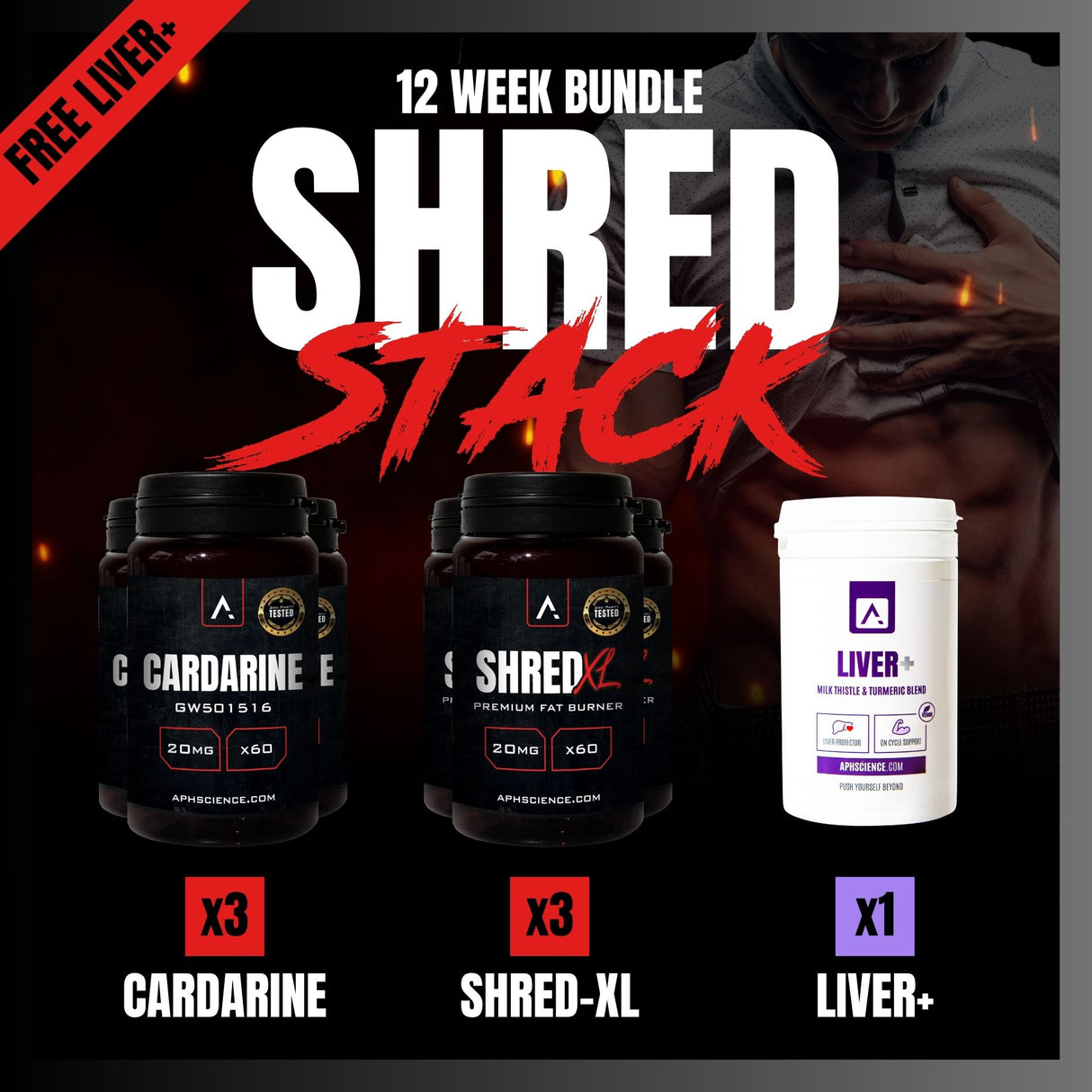 12 Week Shred Cycle