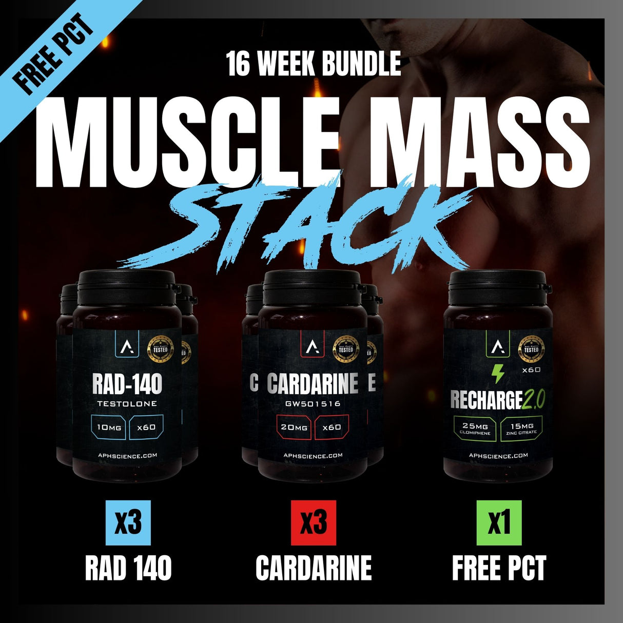 16 Week Bundle: Muscle Mass Stack