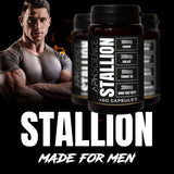 Stallion - Natural Male Performance Blend