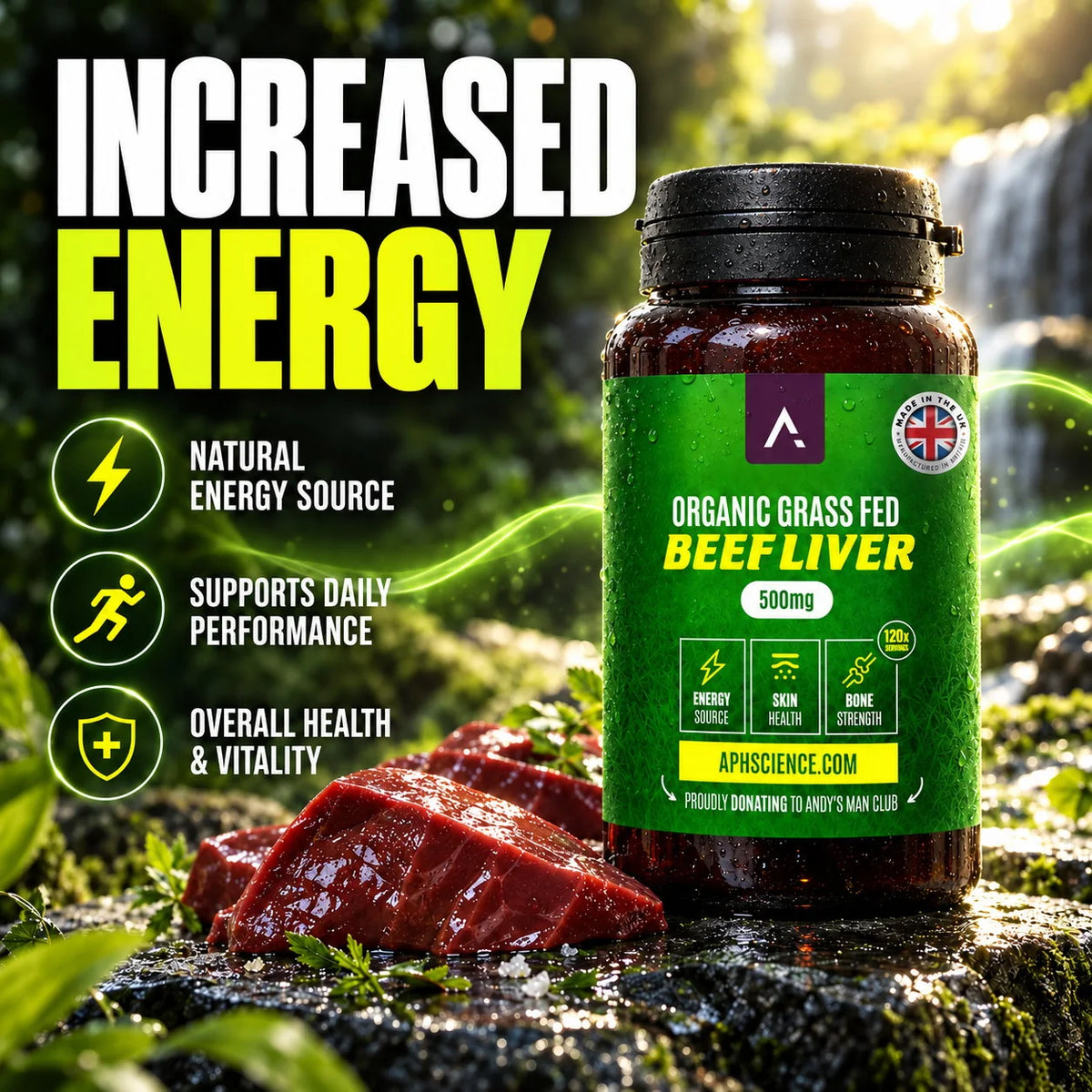 Increased Energy
