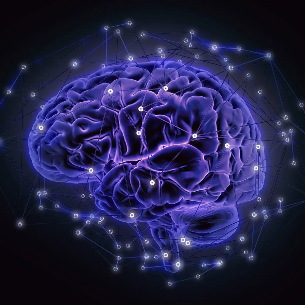 Supports Cognitive Function