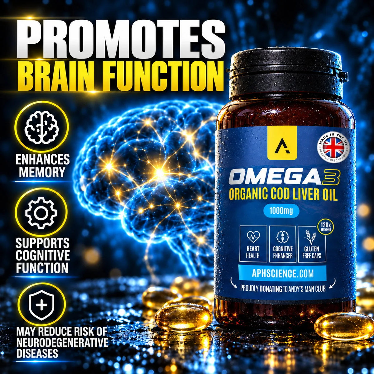 Promotes Brain Function