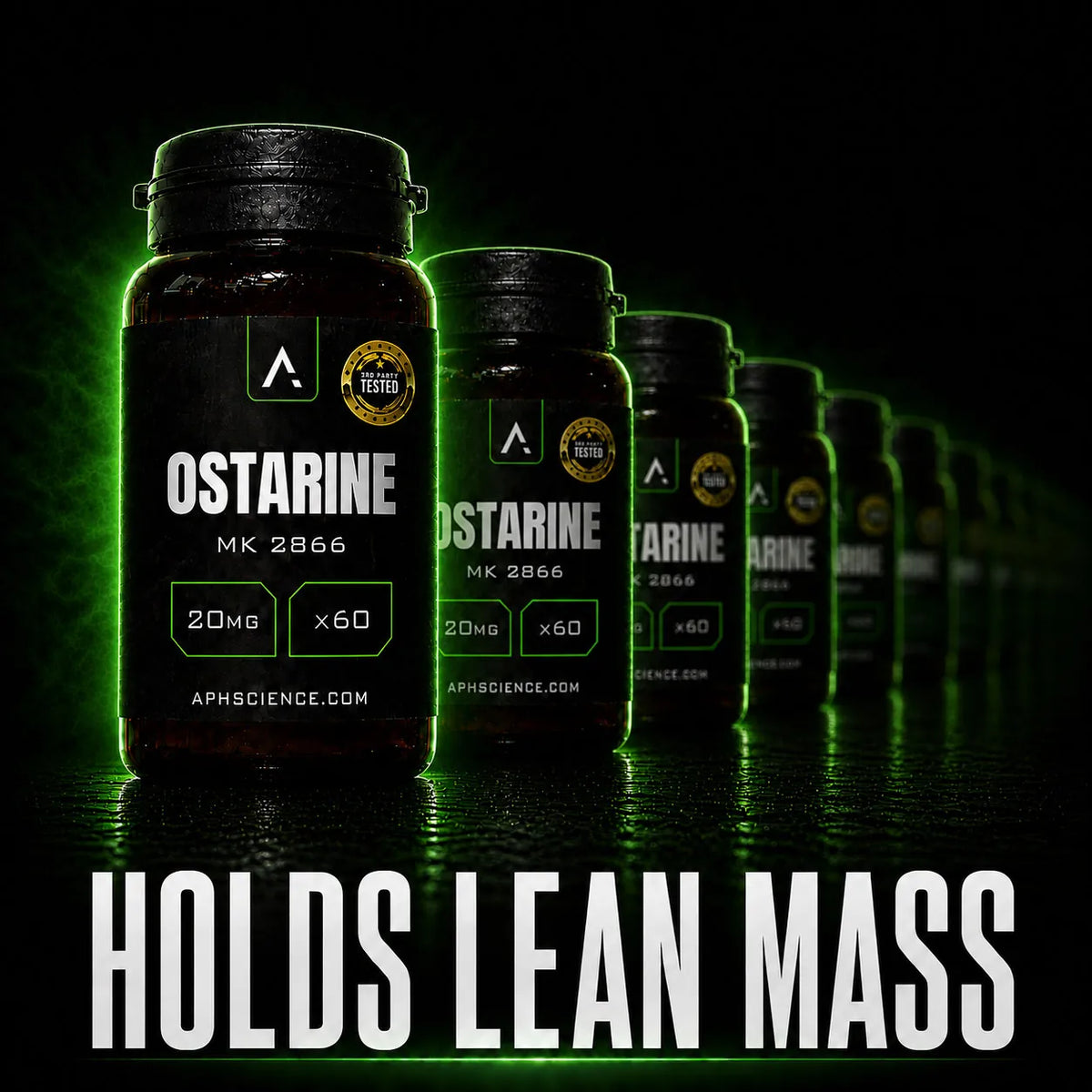 Ostarine holds lean mass