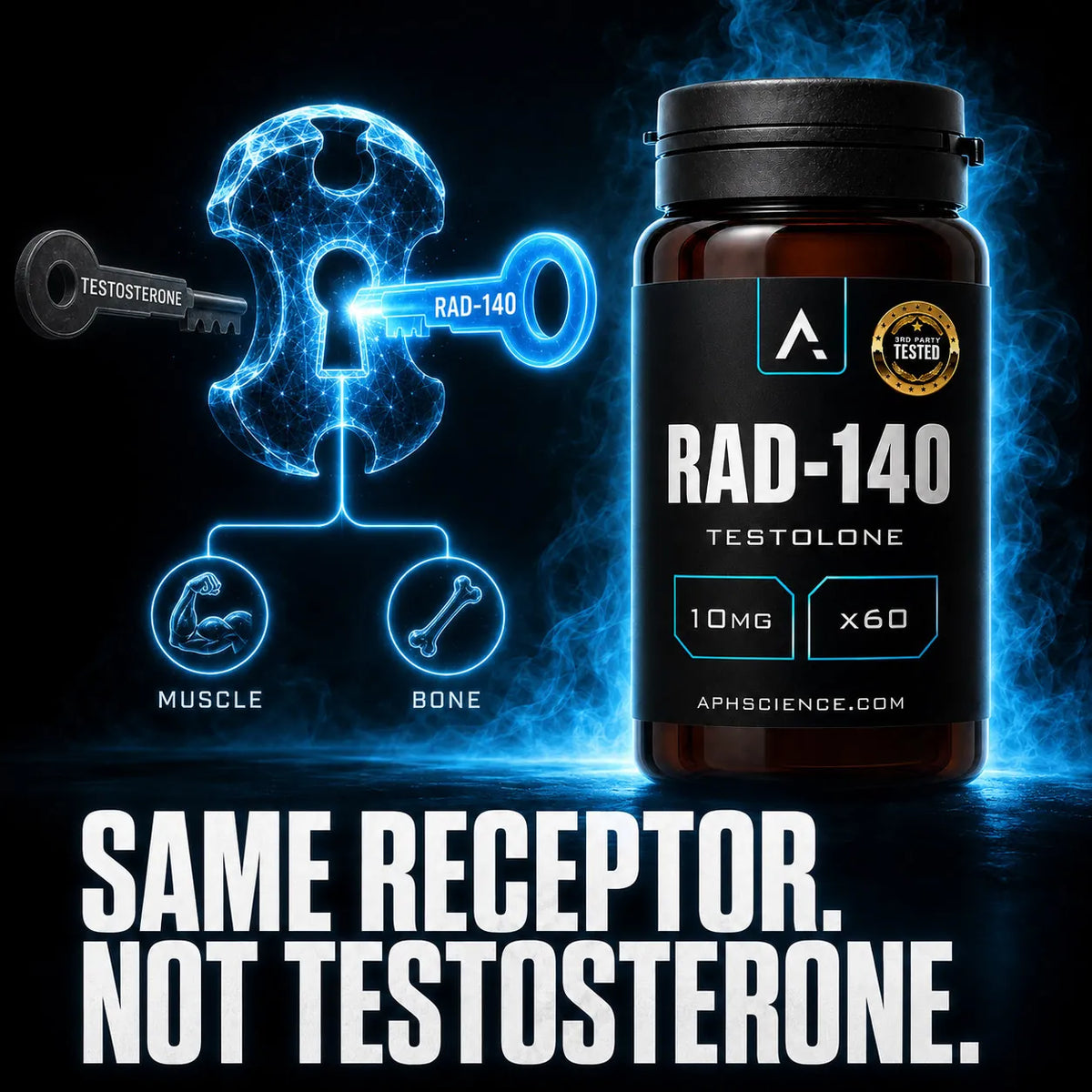 Binds the androgen receptor