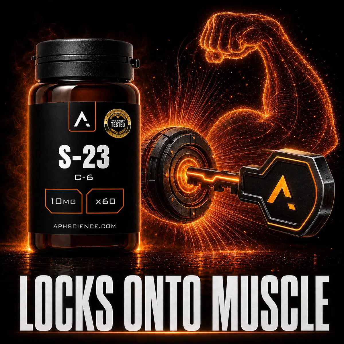 Locks onto muscle