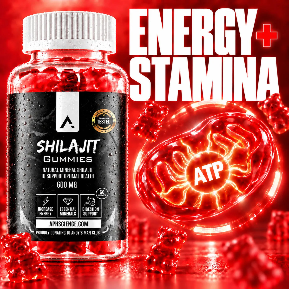 Energy & Stamina
