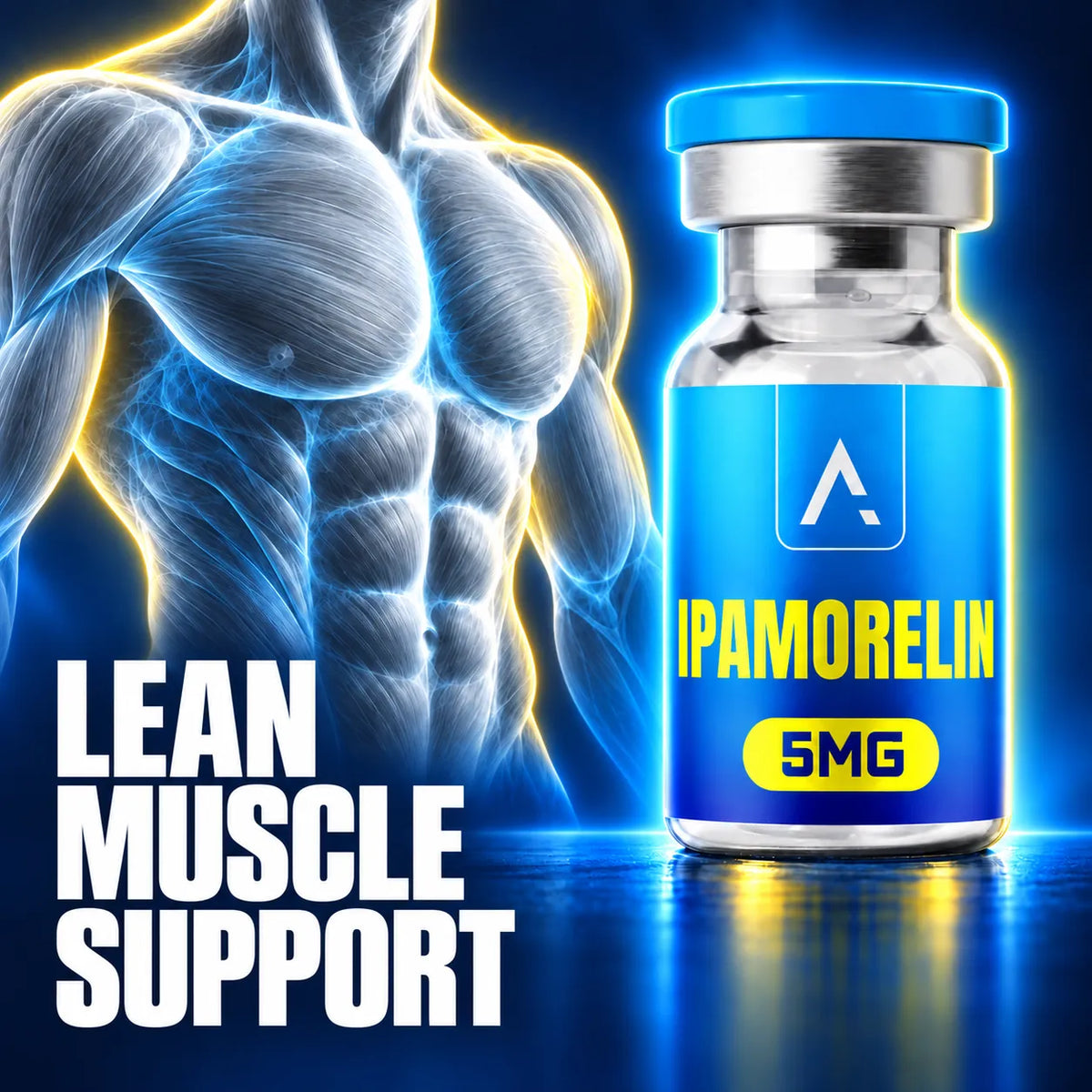 Lean muscle support