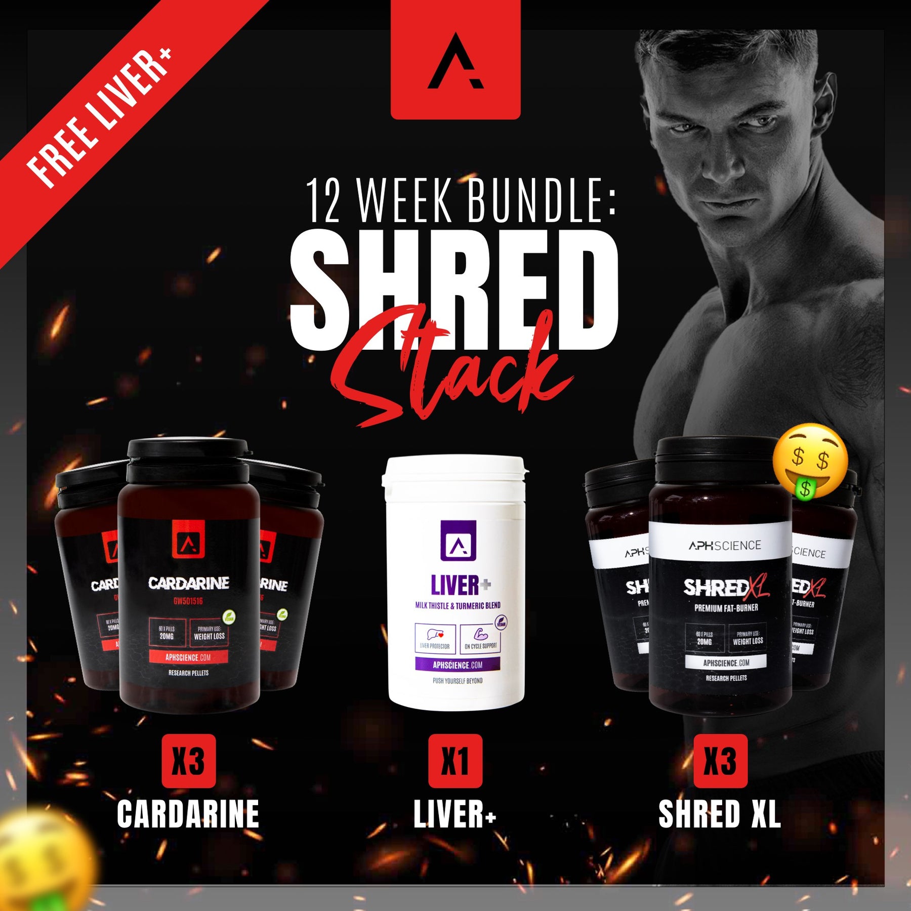 12 Week Shred Cycle - APH Science